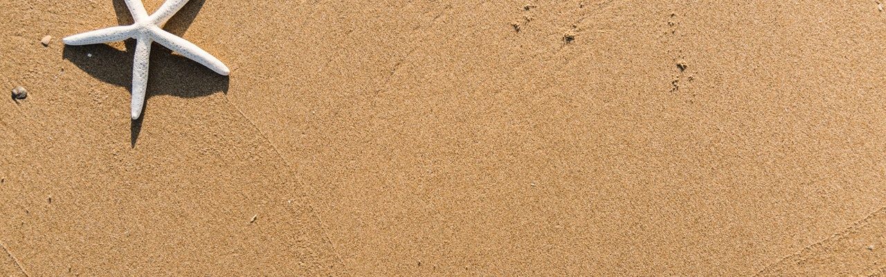 background-beach-daylight-1451360